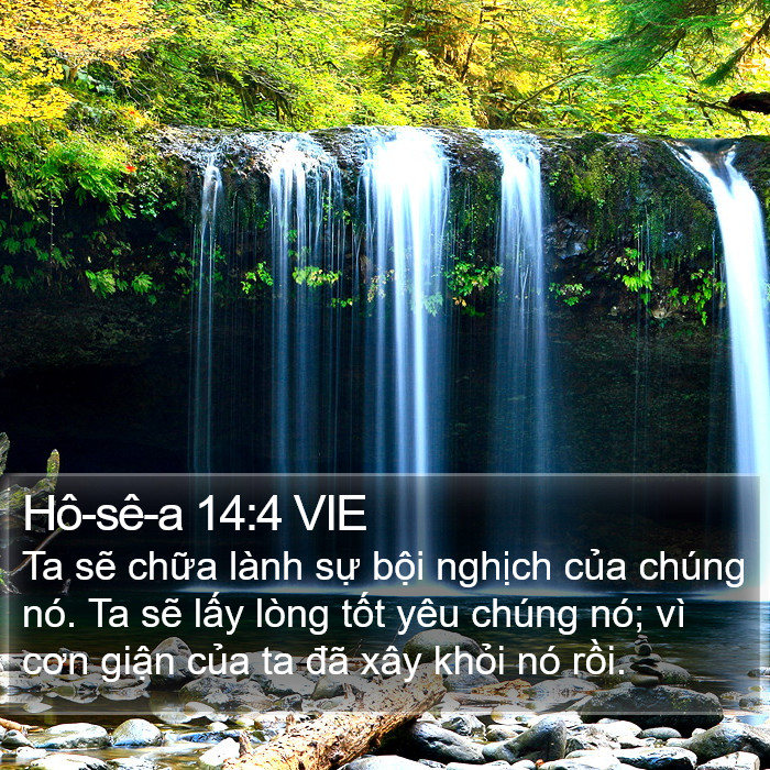 Hô-sê-a 14:4 VIE Bible Study