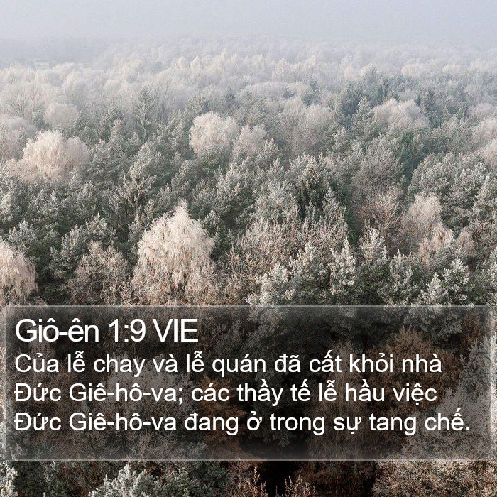 Giô-ên 1:9 VIE Bible Study