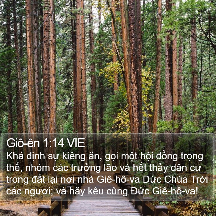 Giô-ên 1:14 VIE Bible Study