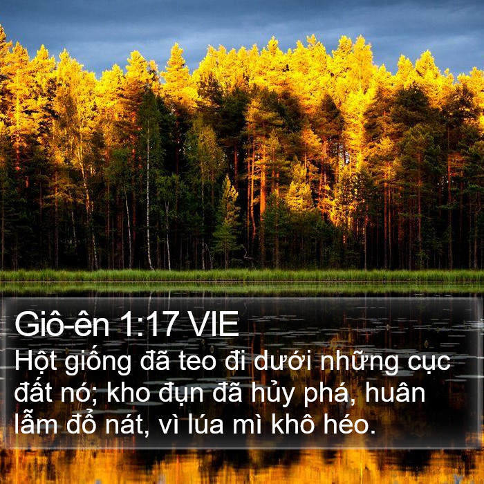 Giô-ên 1:17 VIE Bible Study