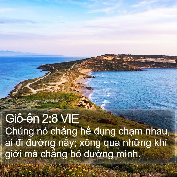 Giô-ên 2:8 VIE Bible Study