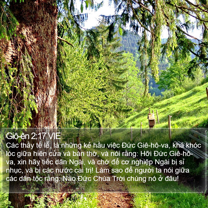 Giô-ên 2:17 VIE Bible Study