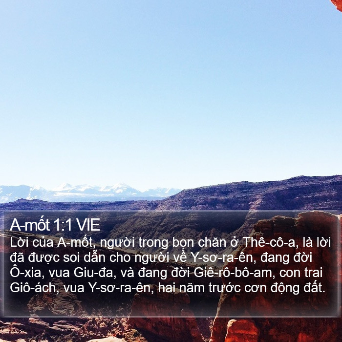 A-mốt 1:1 VIE Bible Study