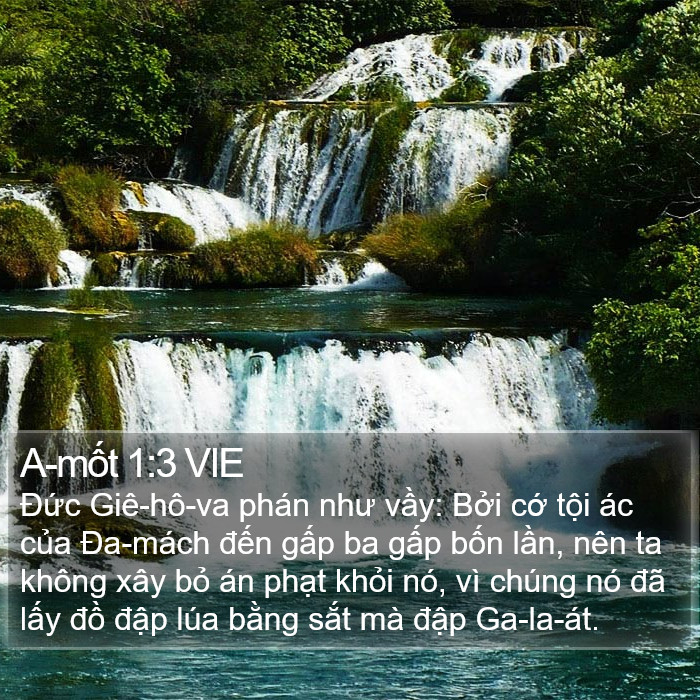 A-mốt 1:3 VIE Bible Study