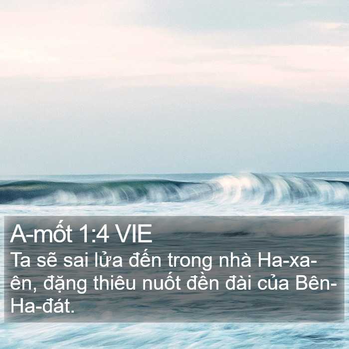 A-mốt 1:4 VIE Bible Study