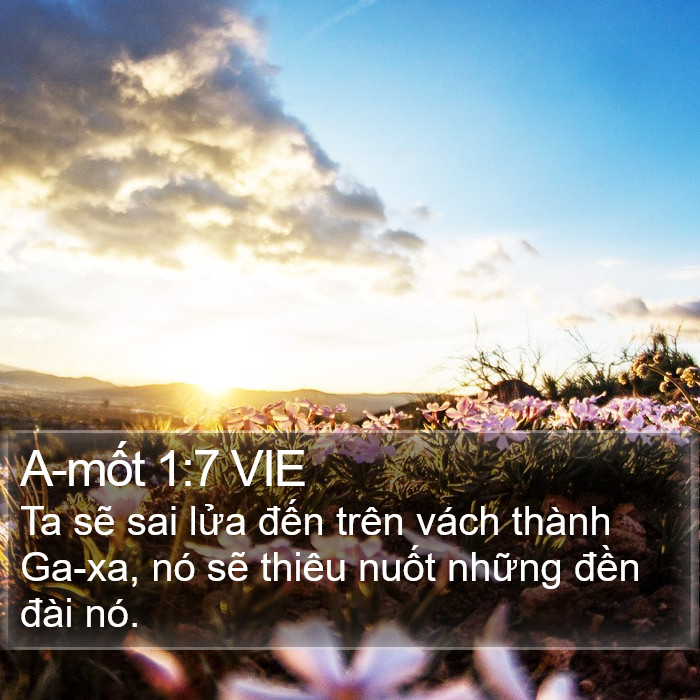 A-mốt 1:7 VIE Bible Study