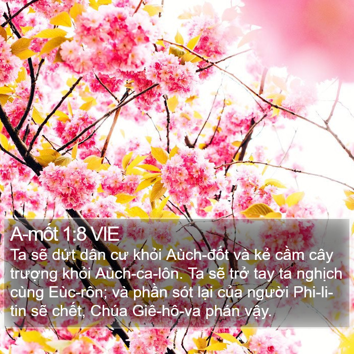 A-mốt 1:8 VIE Bible Study