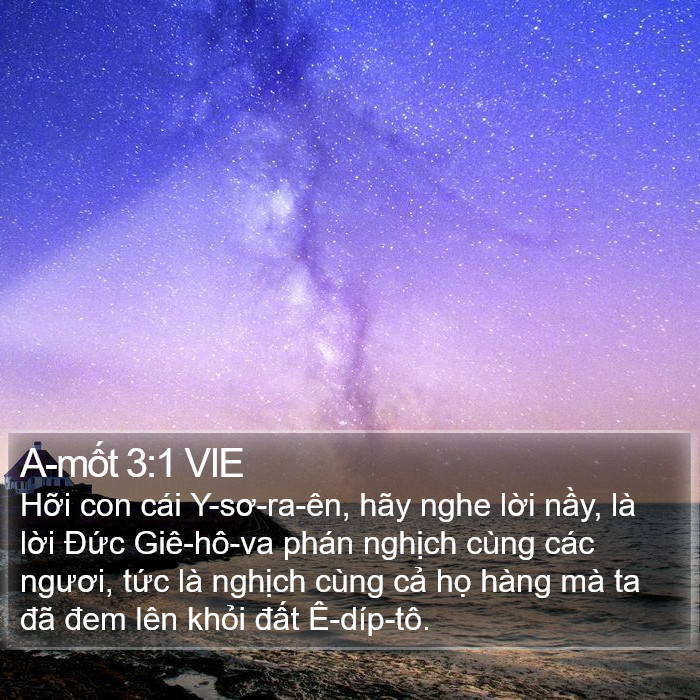 A-mốt 3:1 VIE Bible Study