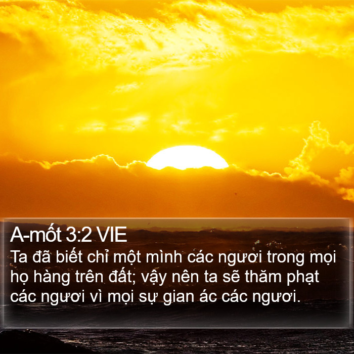 A-mốt 3:2 VIE Bible Study