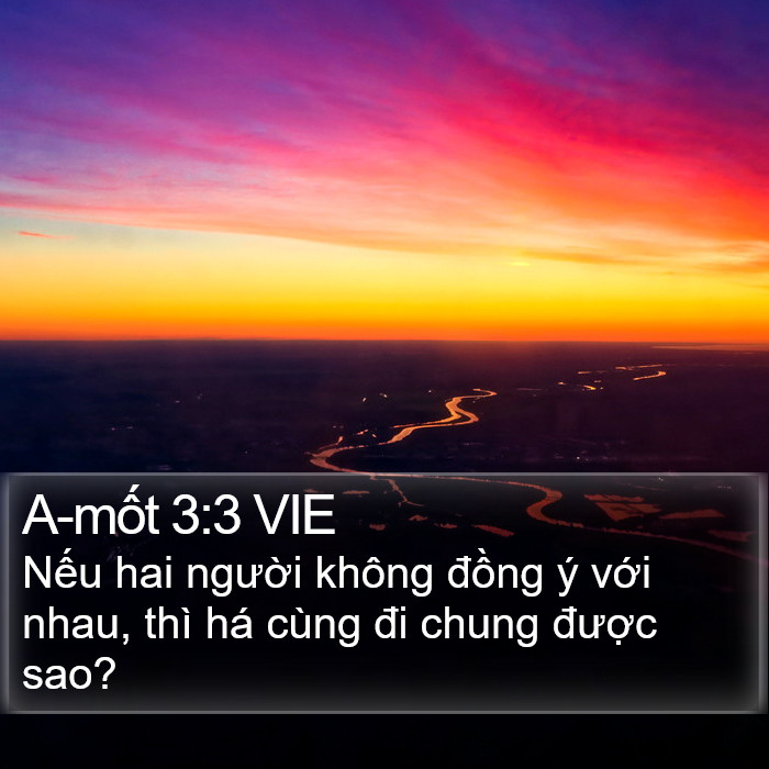 A-mốt 3:3 VIE Bible Study