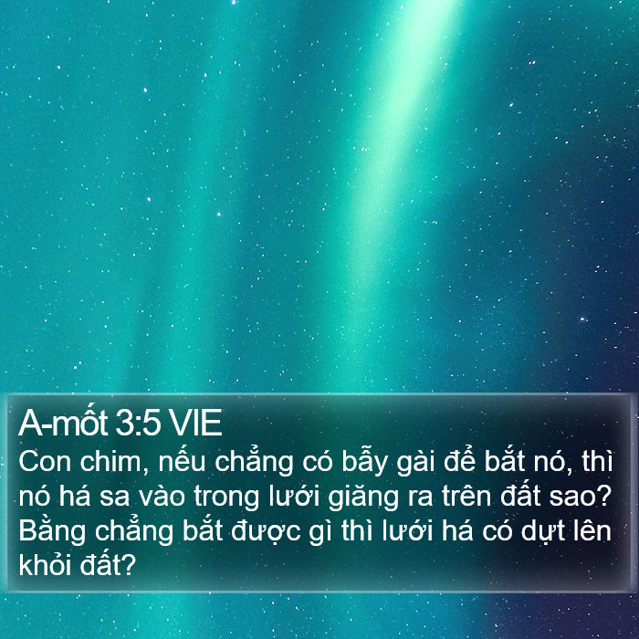 A-mốt 3:5 VIE Bible Study