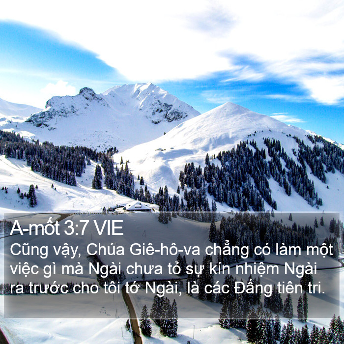 A-mốt 3:7 VIE Bible Study