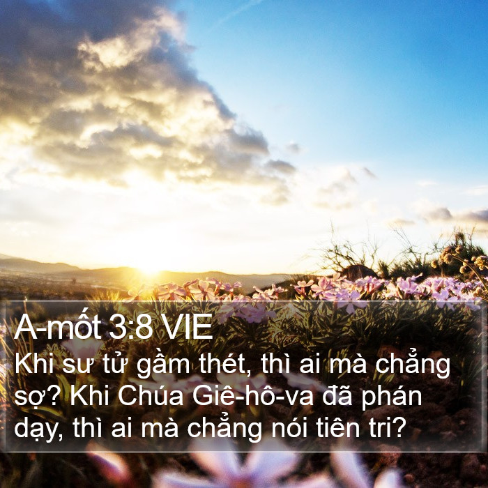 A-mốt 3:8 VIE Bible Study