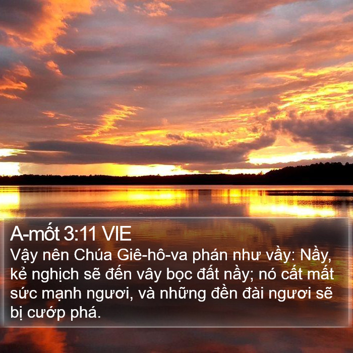 A-mốt 3:11 VIE Bible Study