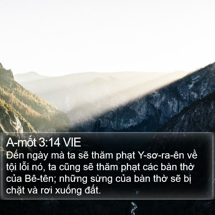 A-mốt 3:14 VIE Bible Study