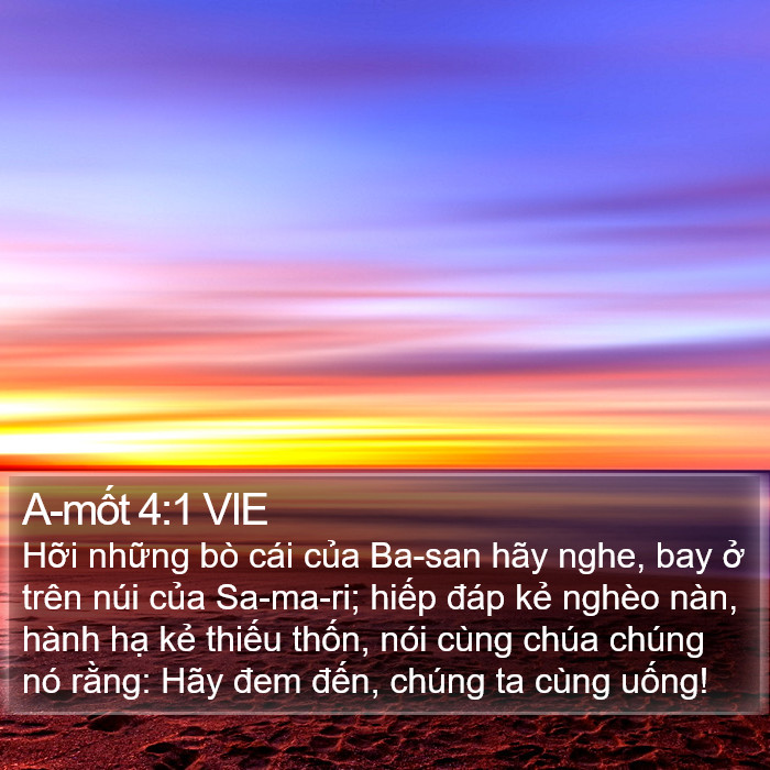 A-mốt 4:1 VIE Bible Study