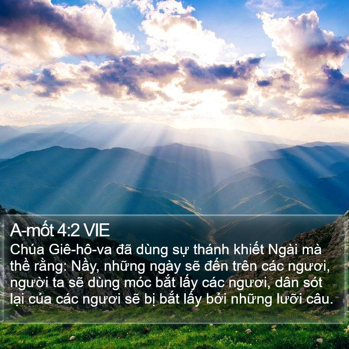 A-mốt 4:2 VIE Bible Study
