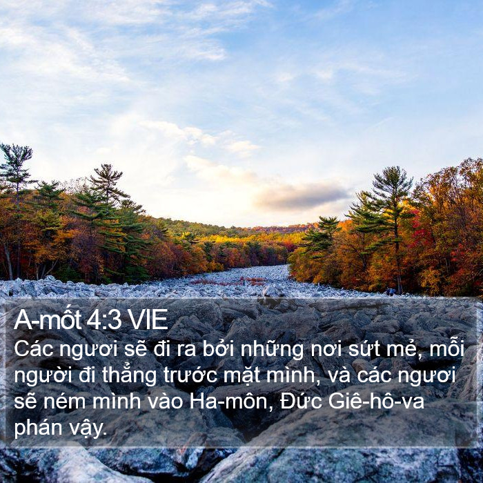 A-mốt 4:3 VIE Bible Study