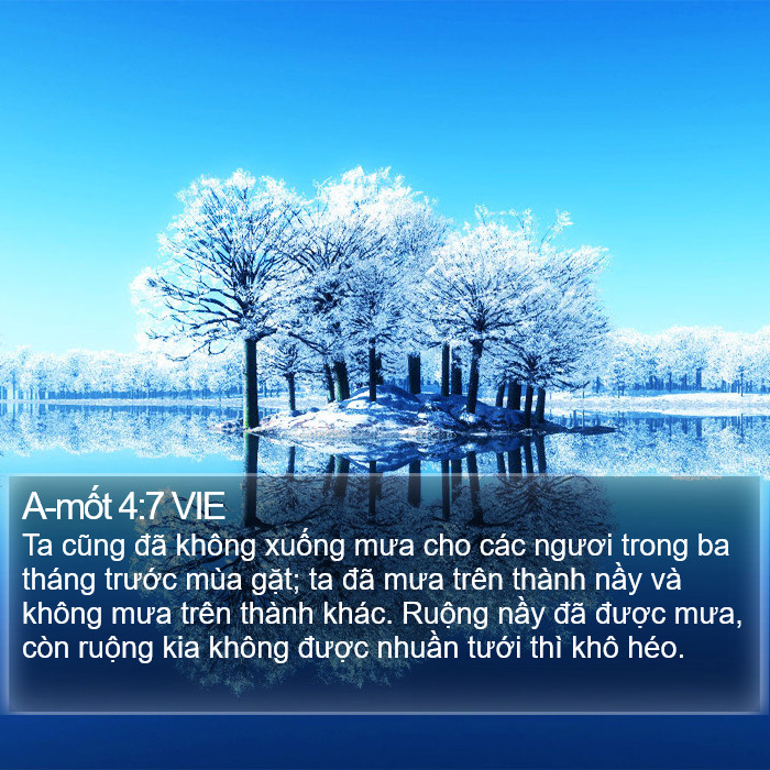 A-mốt 4:7 VIE Bible Study