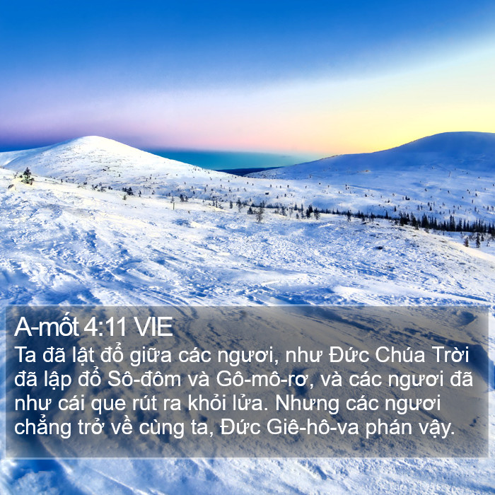 A-mốt 4:11 VIE Bible Study