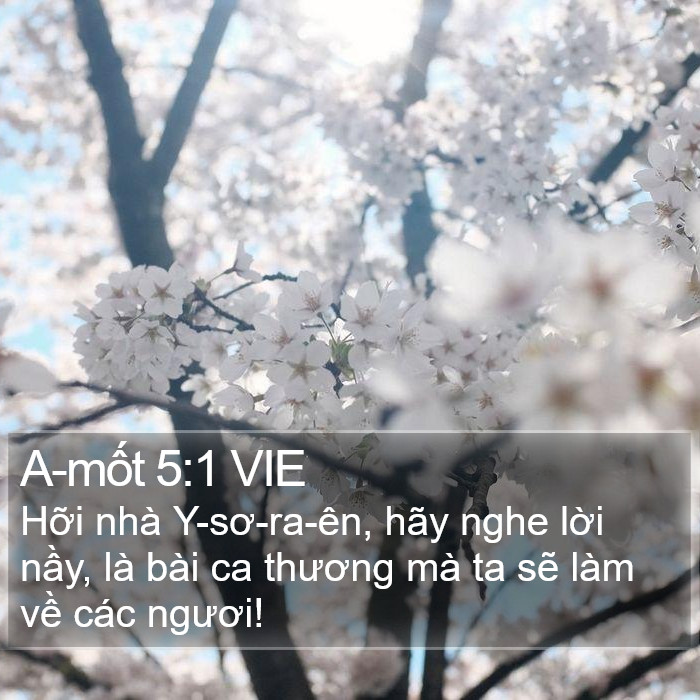 A-mốt 5:1 VIE Bible Study