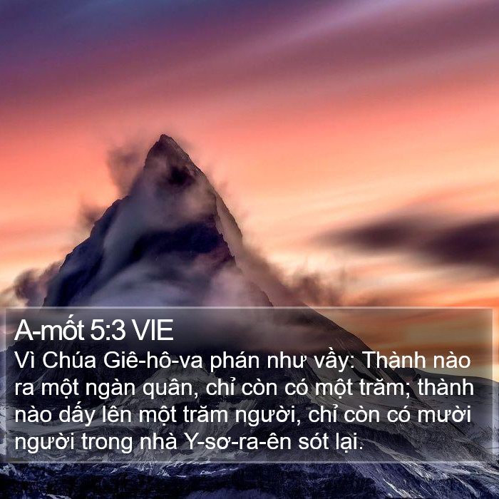 A-mốt 5:3 VIE Bible Study