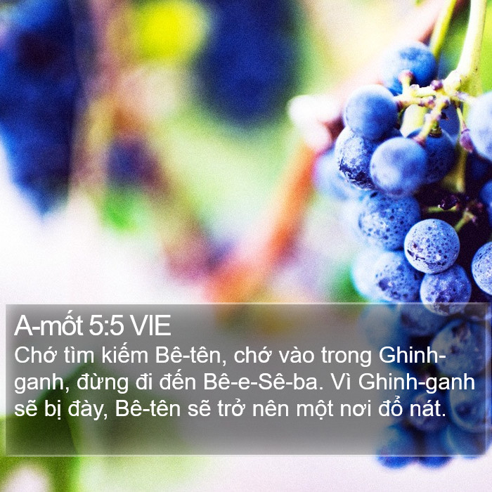 A-mốt 5:5 VIE Bible Study