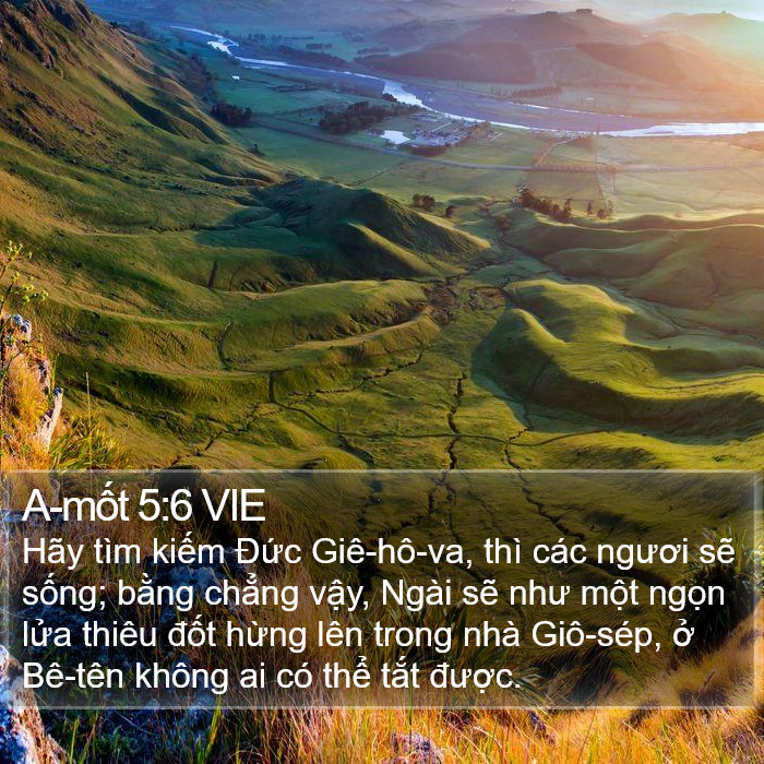 A-mốt 5:6 VIE Bible Study