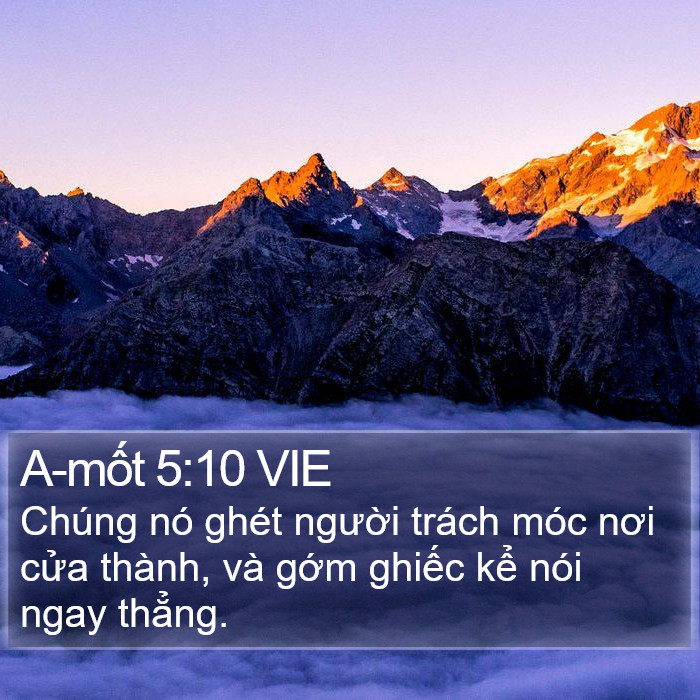 A-mốt 5:10 VIE Bible Study