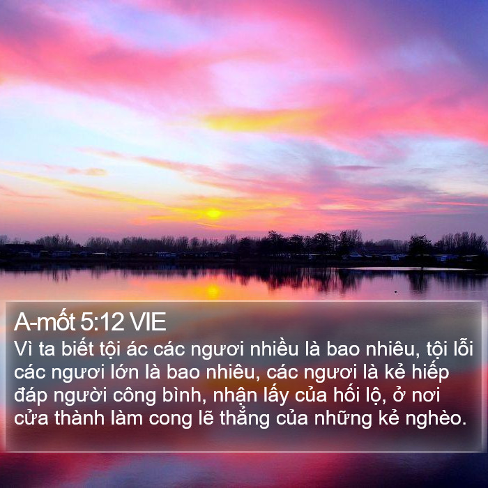 A-mốt 5:12 VIE Bible Study