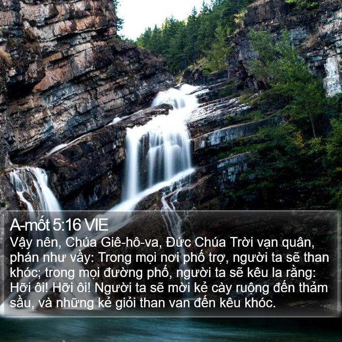 A-mốt 5:16 VIE Bible Study