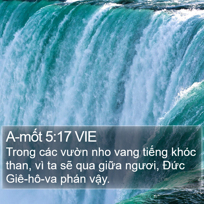 A-mốt 5:17 VIE Bible Study