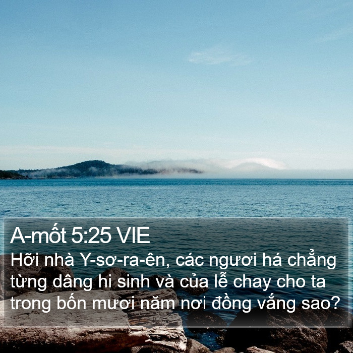 A-mốt 5:25 VIE Bible Study