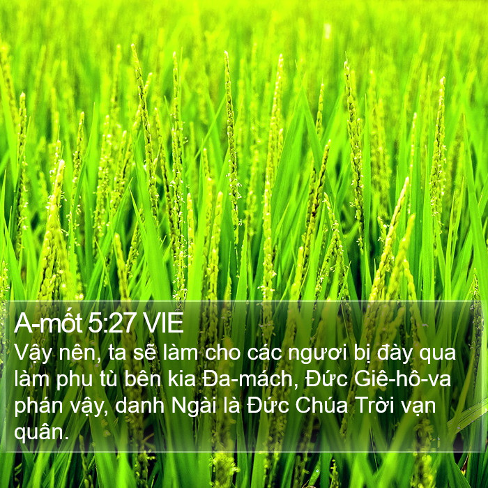 A-mốt 5:27 VIE Bible Study