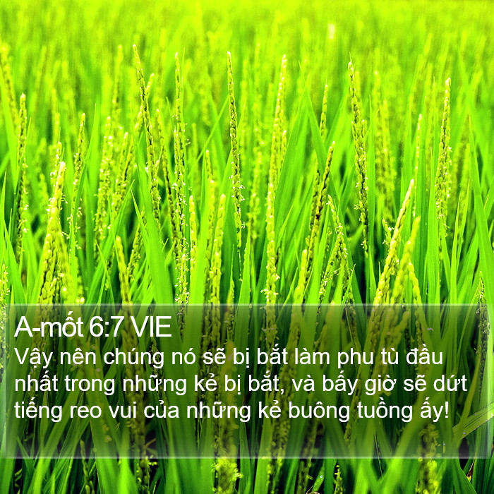 A-mốt 6:7 VIE Bible Study