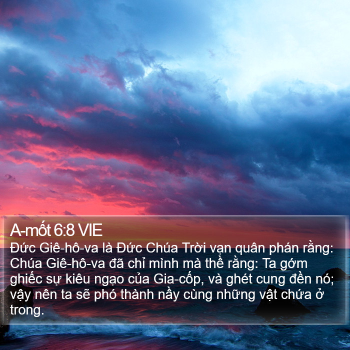 A-mốt 6:8 VIE Bible Study