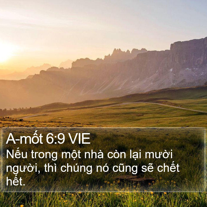 A-mốt 6:9 VIE Bible Study