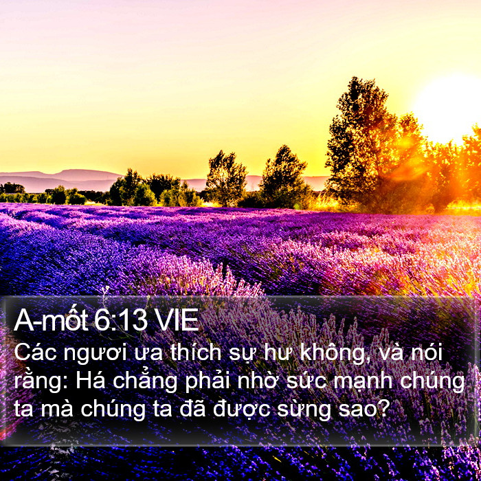 A-mốt 6:13 VIE Bible Study