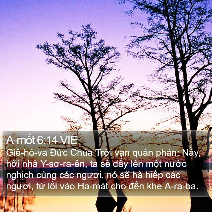 A-mốt 6:14 VIE Bible Study