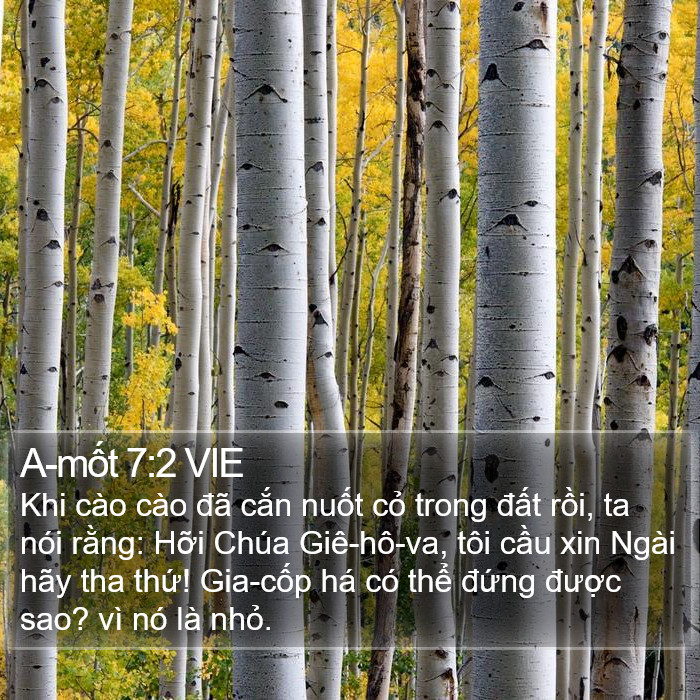 A-mốt 7:2 VIE Bible Study