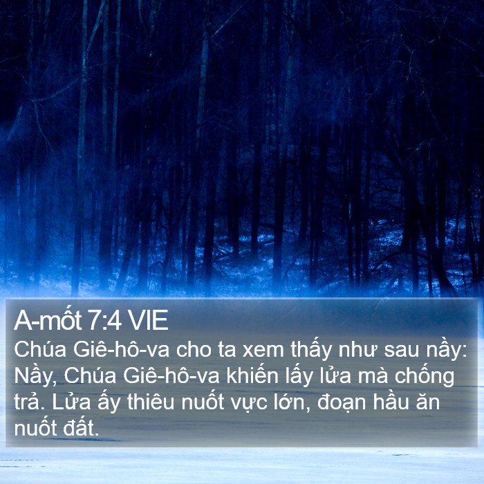 A-mốt 7:4 VIE Bible Study