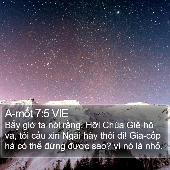 A-mốt 7:5 VIE Bible Study