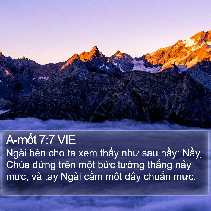 A-mốt 7:7 VIE Bible Study