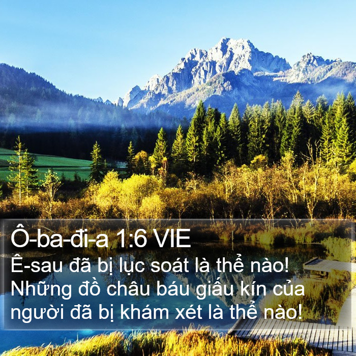 Ô-ba-đi-a 1:6 VIE Bible Study