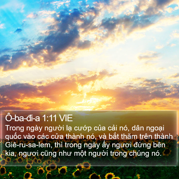 Ô-ba-đi-a 1:11 VIE Bible Study