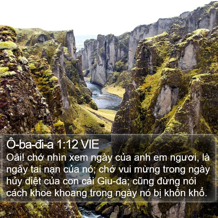 Ô-ba-đi-a 1:12 VIE Bible Study