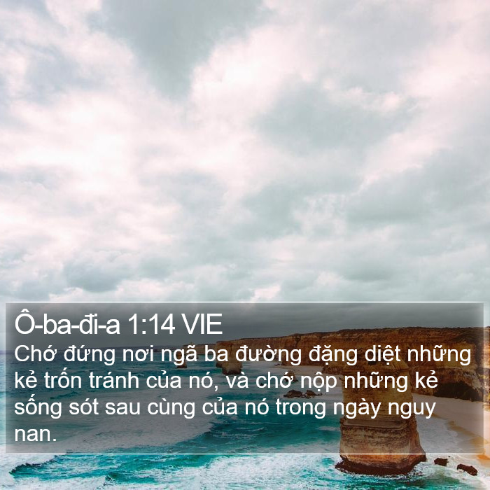 Ô-ba-đi-a 1:14 VIE Bible Study