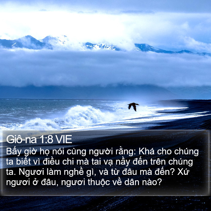 Giô-na 1:8 VIE Bible Study