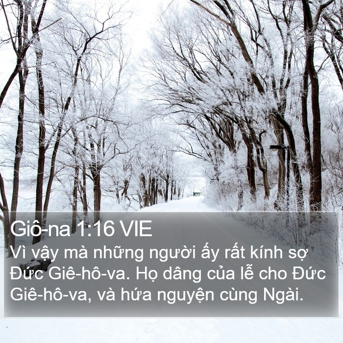 Giô-na 1:16 VIE Bible Study