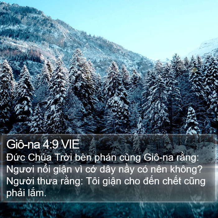 Giô-na 4:9 VIE Bible Study